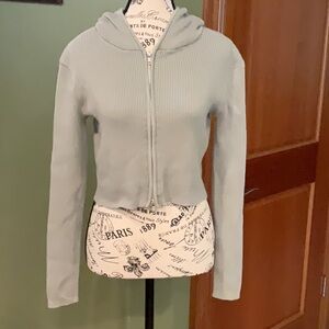 John Galt Sage Fitted Crop Hoodie, Size Small